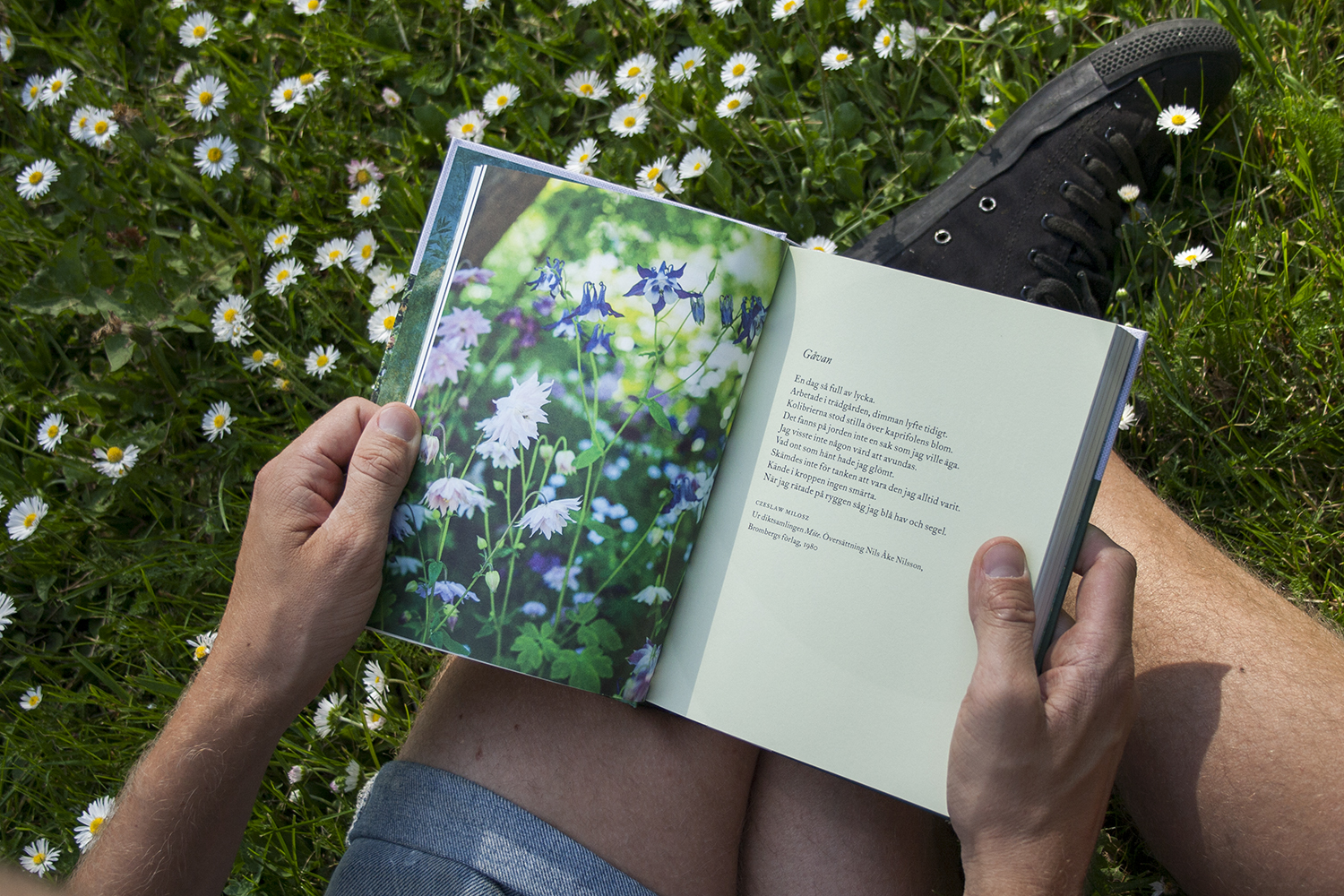 Litteraturvecka – vårens skörd av trädgårdsböcker – tips 3